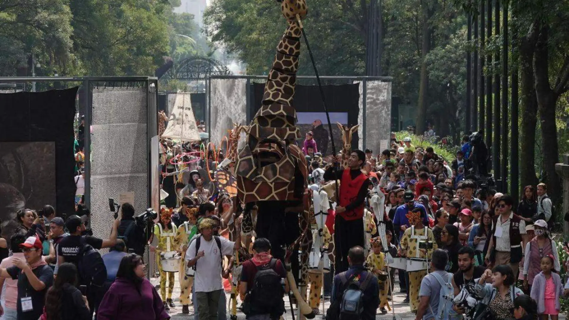 Bosque de Chapultepec